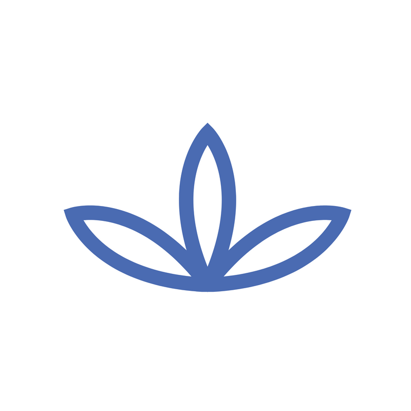 BC Consulting: Bizzy Banks