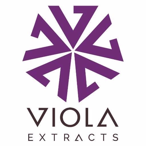 Viola