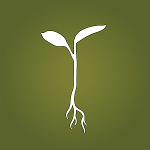 Raw Garden — Ze Chem
