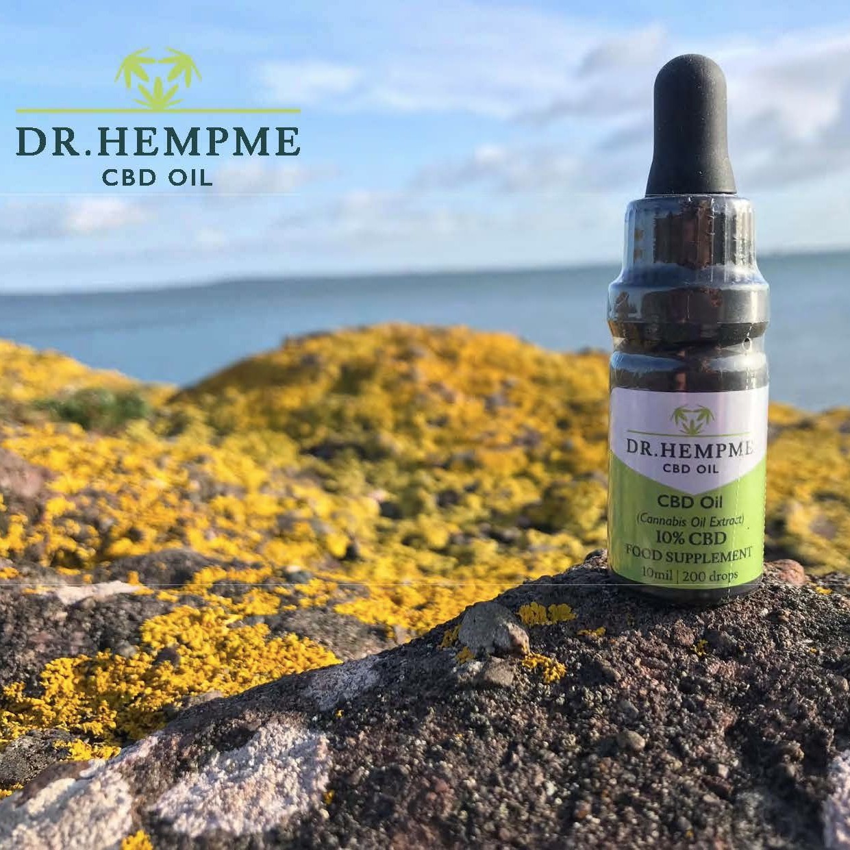 Dr Hemp Freezable Nectar Collector / Nectar Collector