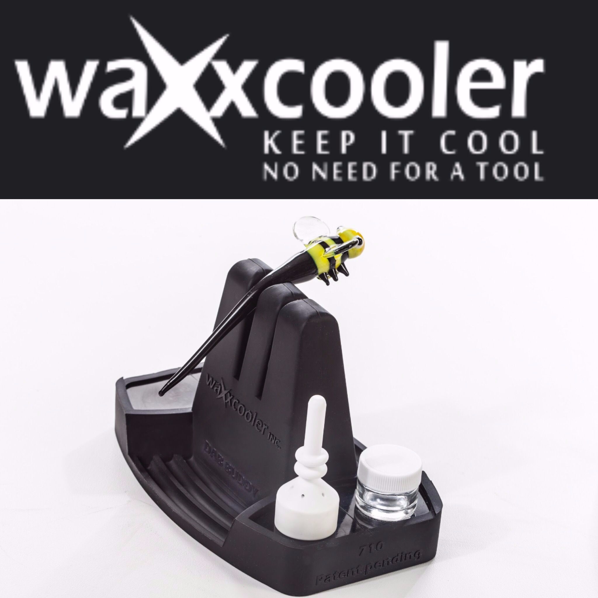 WAXXCOOLER: Strawberry Kiwi
