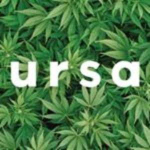 Ursa Lighting: Sour Tangie
