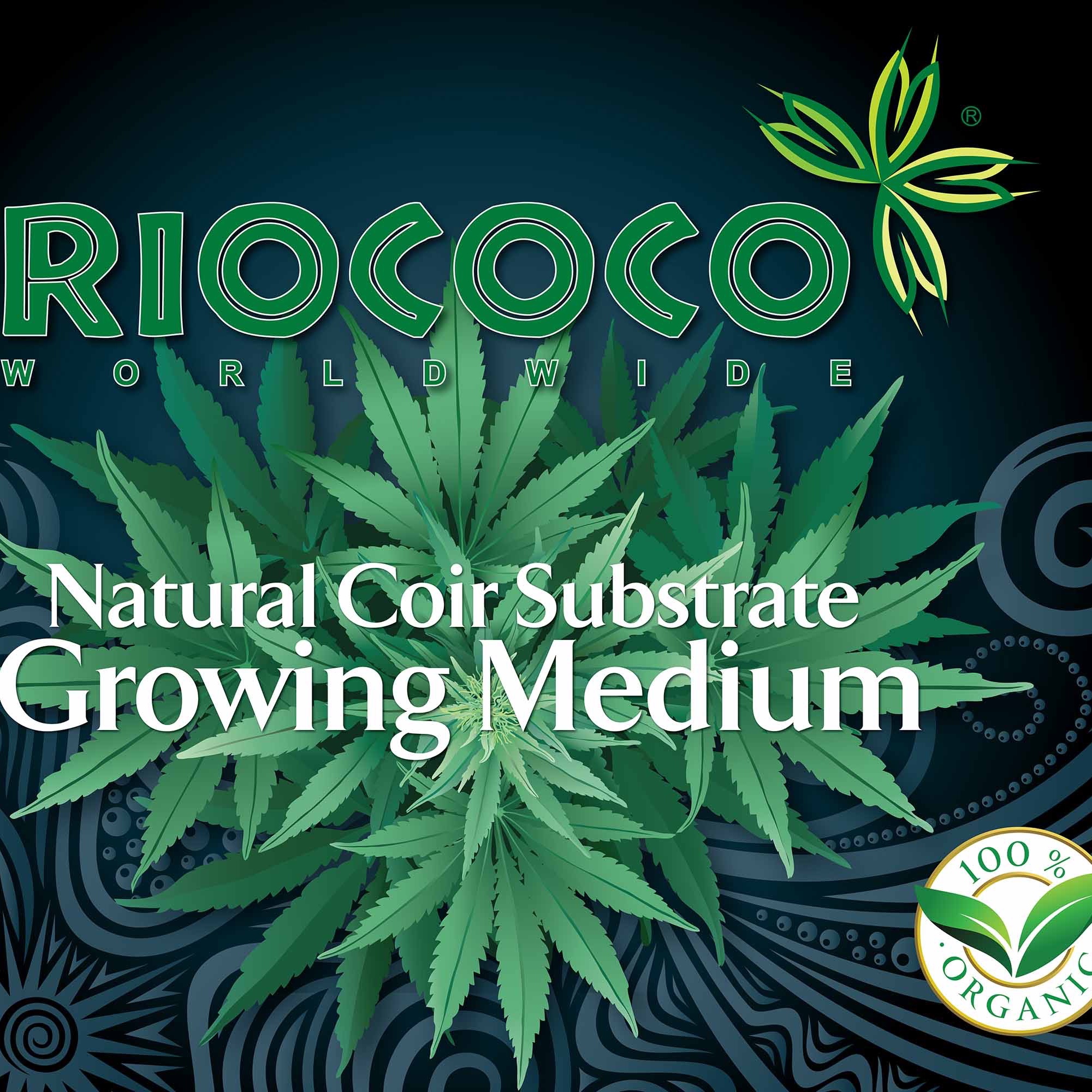 Riococo PCM: Biscotti X Sherb By Buds