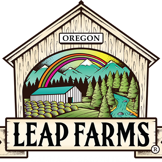 LEAP FARMS: Dipz #4 - Leap Farms Bud