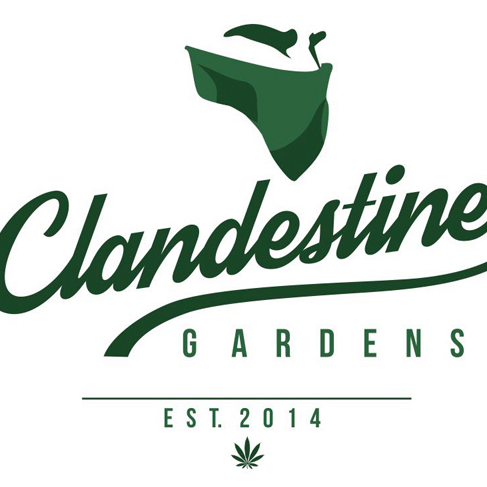 Clandestine Gardens