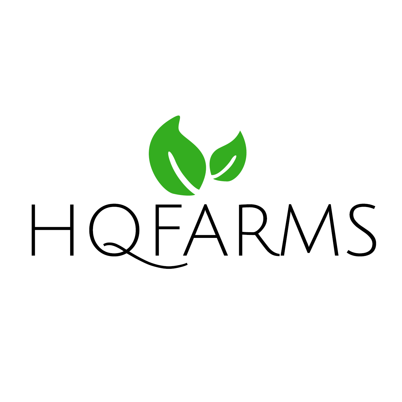 HQ Farms: Gary S Pineapple
