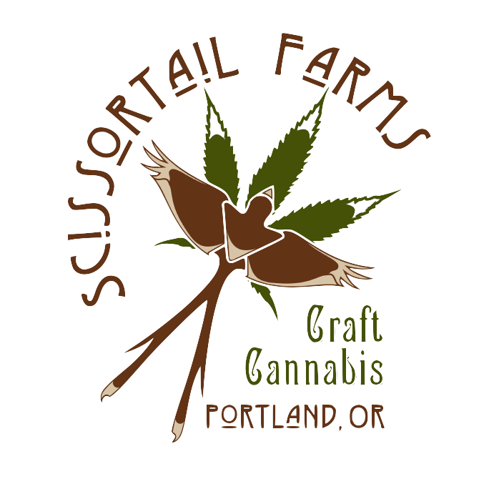 Tropical Break 1g Live Hash Rosin