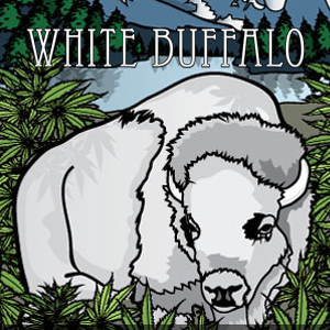 WHITE BUFFALO: Concrete Jungle