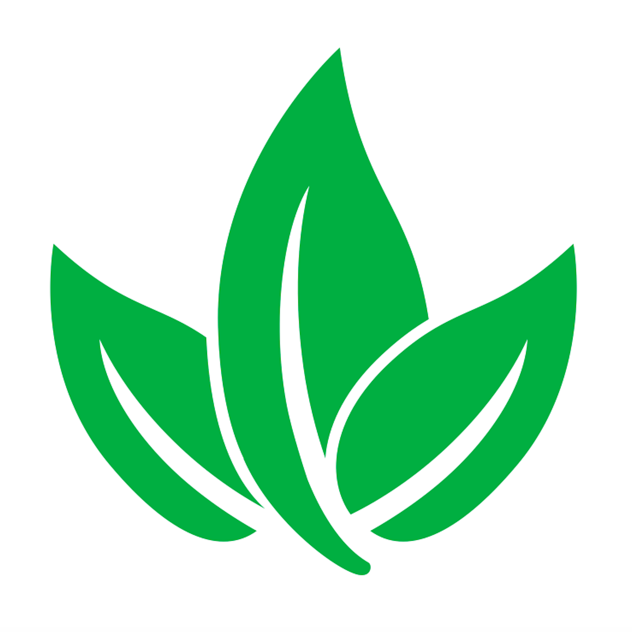 The CO2 Company: White Buffalo