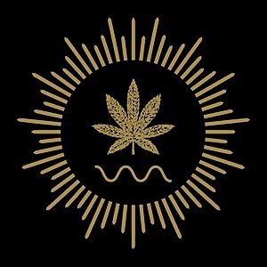 Mohave Cannabis Co. — Funkadelic