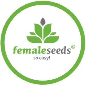 Greenherb - Pheno Hunt - Select Female Seeds - 5 Pack