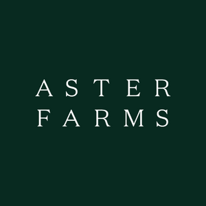 ASTER | Flower | Cheetah Piss | Hybrid