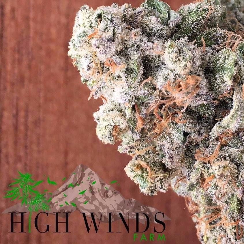 High Winds Farm: Ruby Slippers