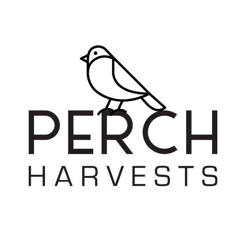 Perch | Babadook | Smalls | 7g