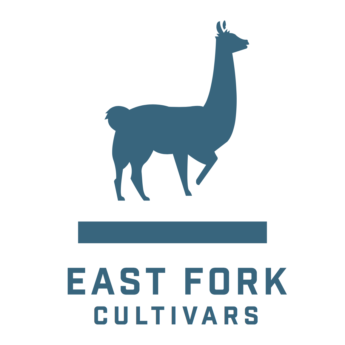 East Fork Cultivars: Candy Blossom