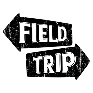 Field Trip: Ready To Roll - Lemon Squeezy