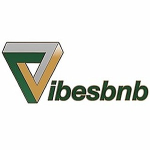 Vibes Papers/Cones