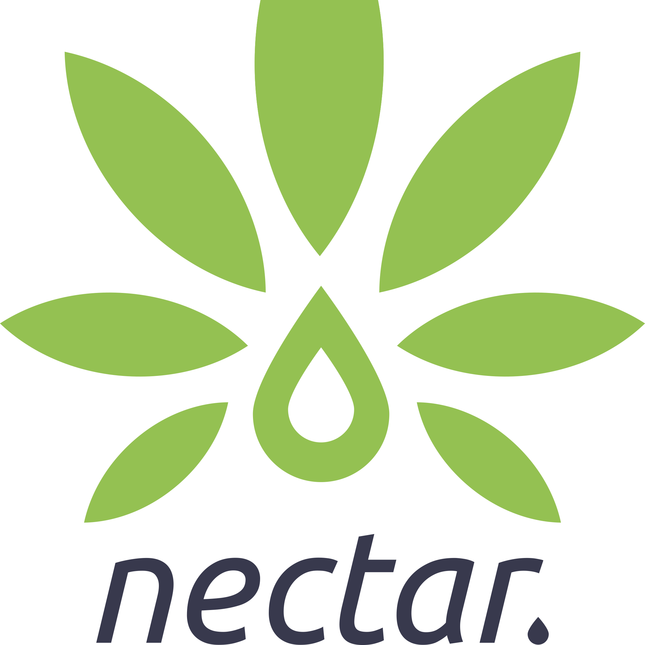 nectar definition