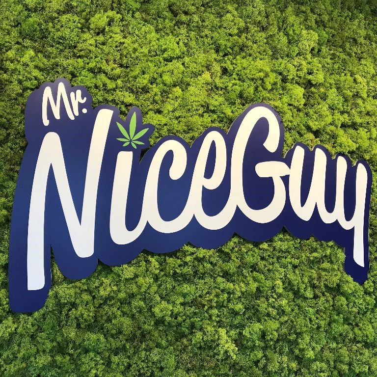 Mr. Nice Guy -...