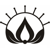 Cannabliss & Co. -...