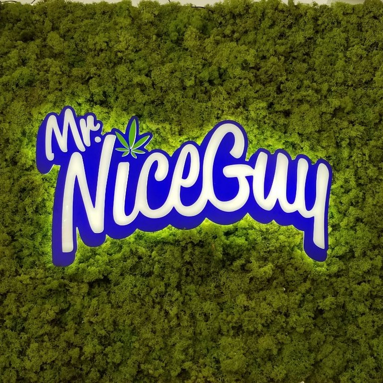 Mr. Nice Guy -...