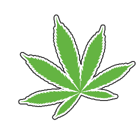 Herbs4You
