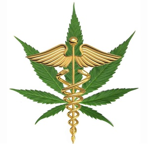Toucannabis Wellness...