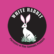 White Rabbit...