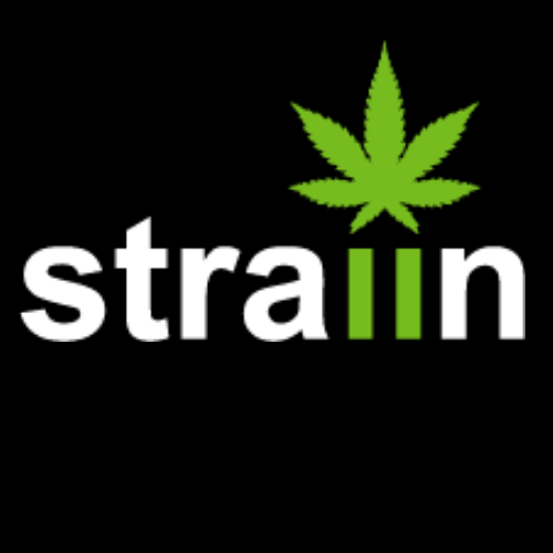 Straiin