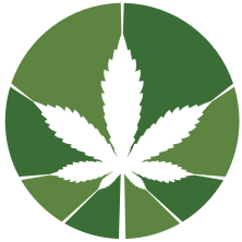 Greenlight Therapeutics