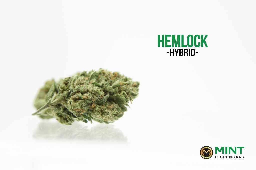 The Mint Dispensary Tempe Menu Leafly