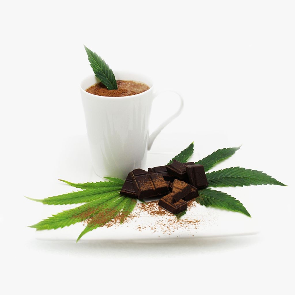 Wellness Connection of Maine: Hot Cocoa 10mg | Leafly