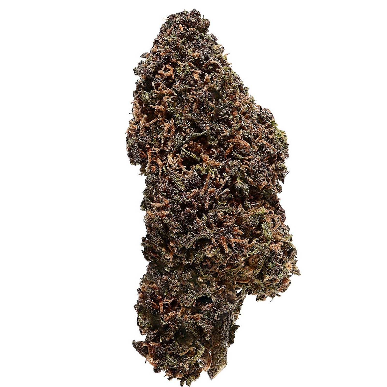 Bammmer Free Shipping 15 Off On site! Outdoor Fruit Loops CBD
