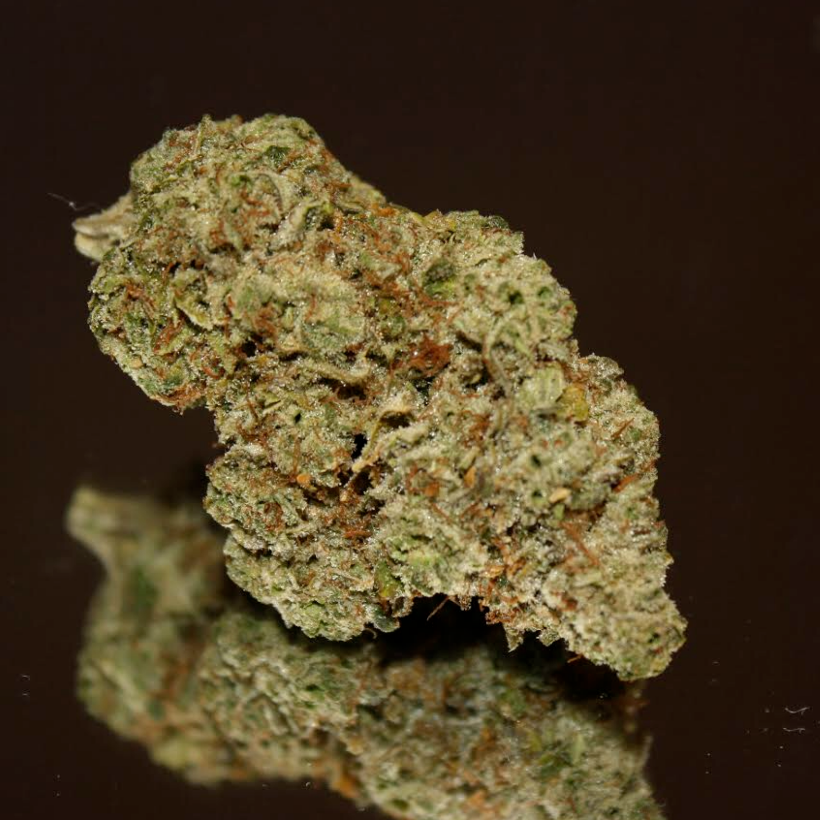 Original Glue (GG4) Leafly