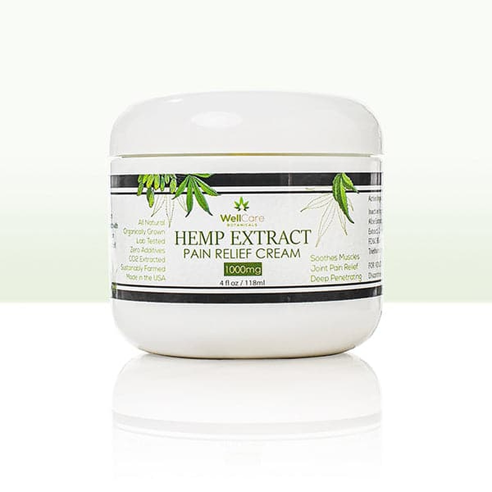 WELL CARE BOTANICALS HEMP EXTRACT EXTRA STRENGTH CBD PAIN RELIEF