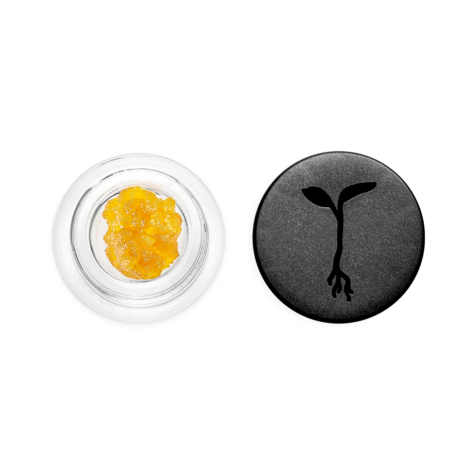 Raw Garden: Chem Diesel