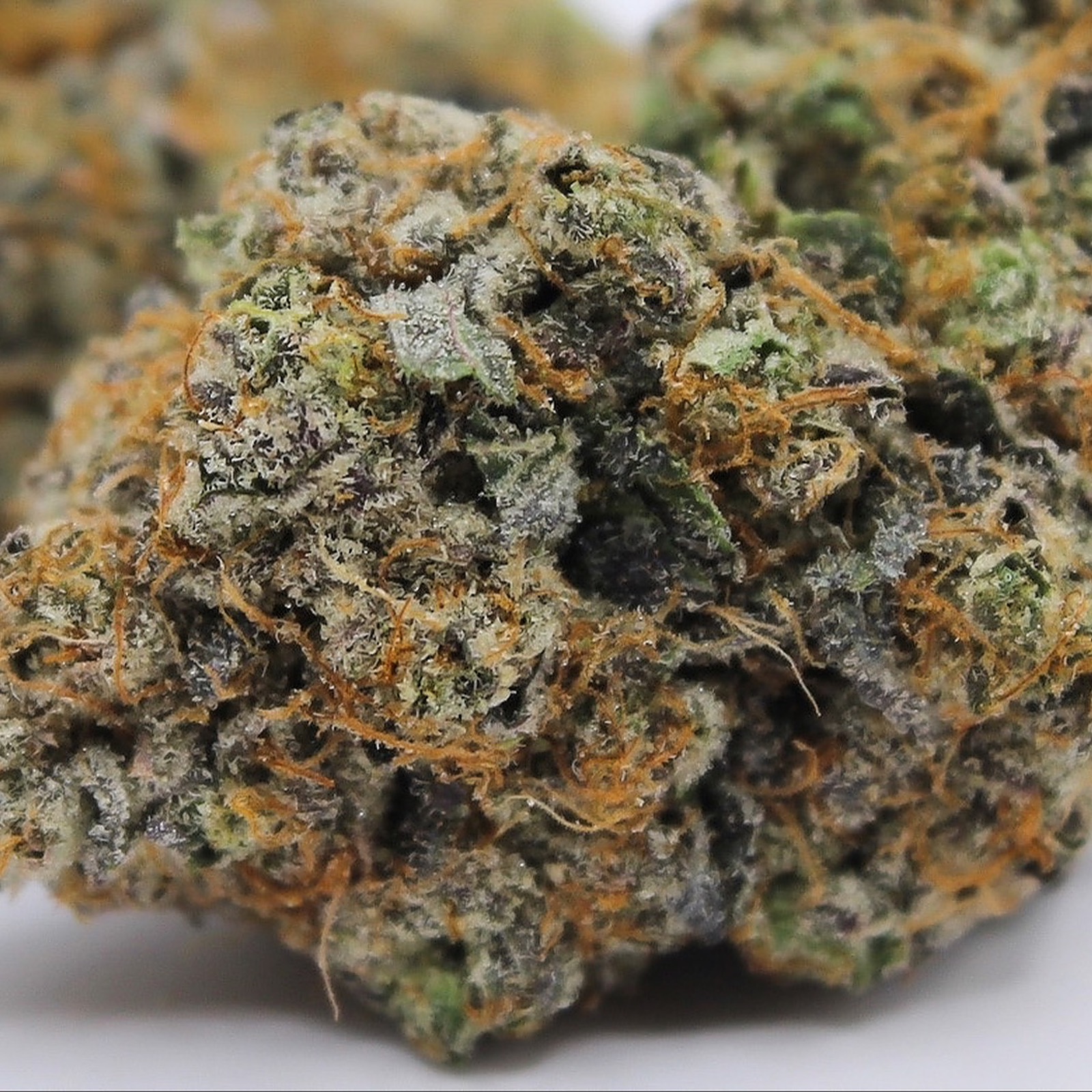 Stash Mountain Gelato x Kush Mints Leafly