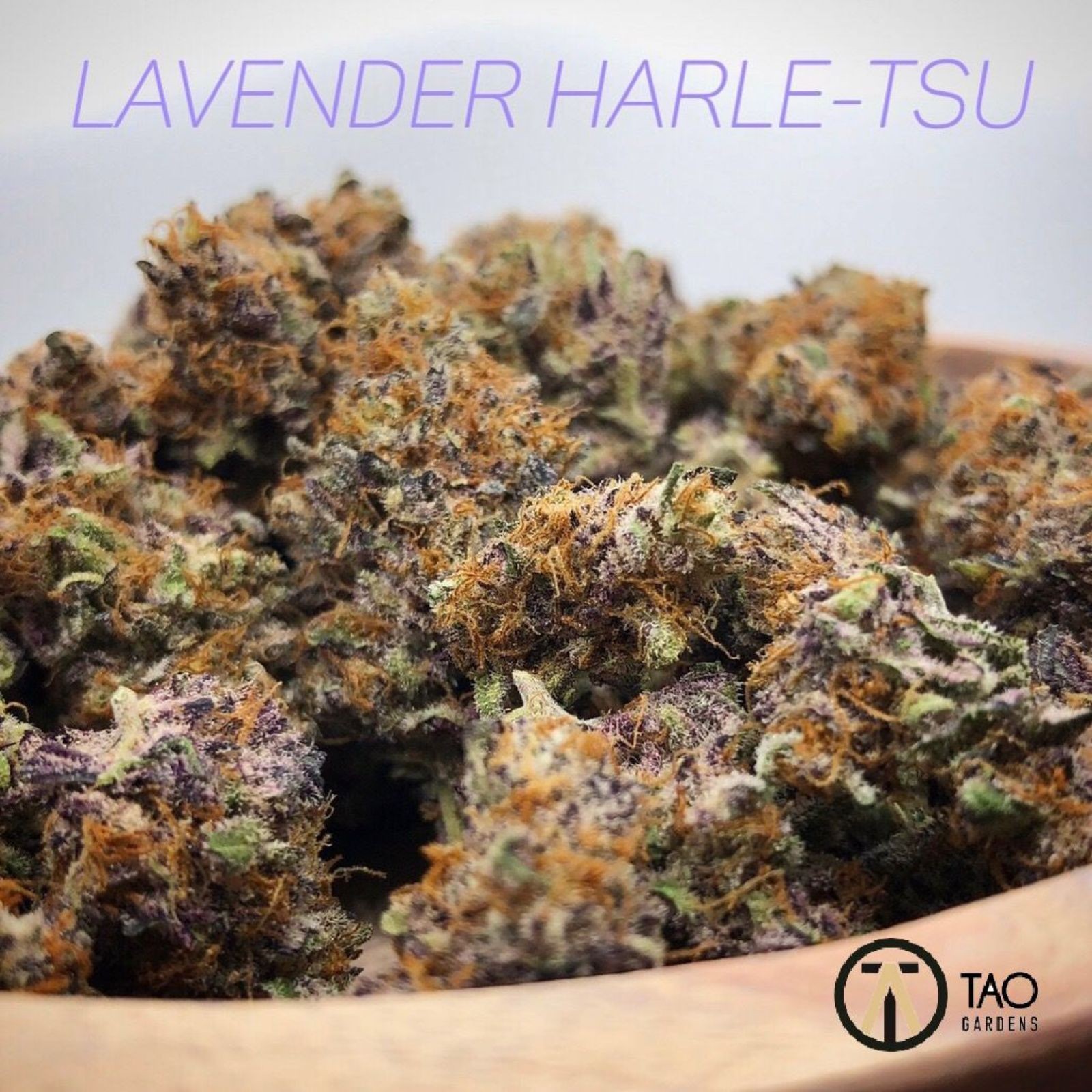 Tao Gardens: Lavender Harle-Tsu | Leafly