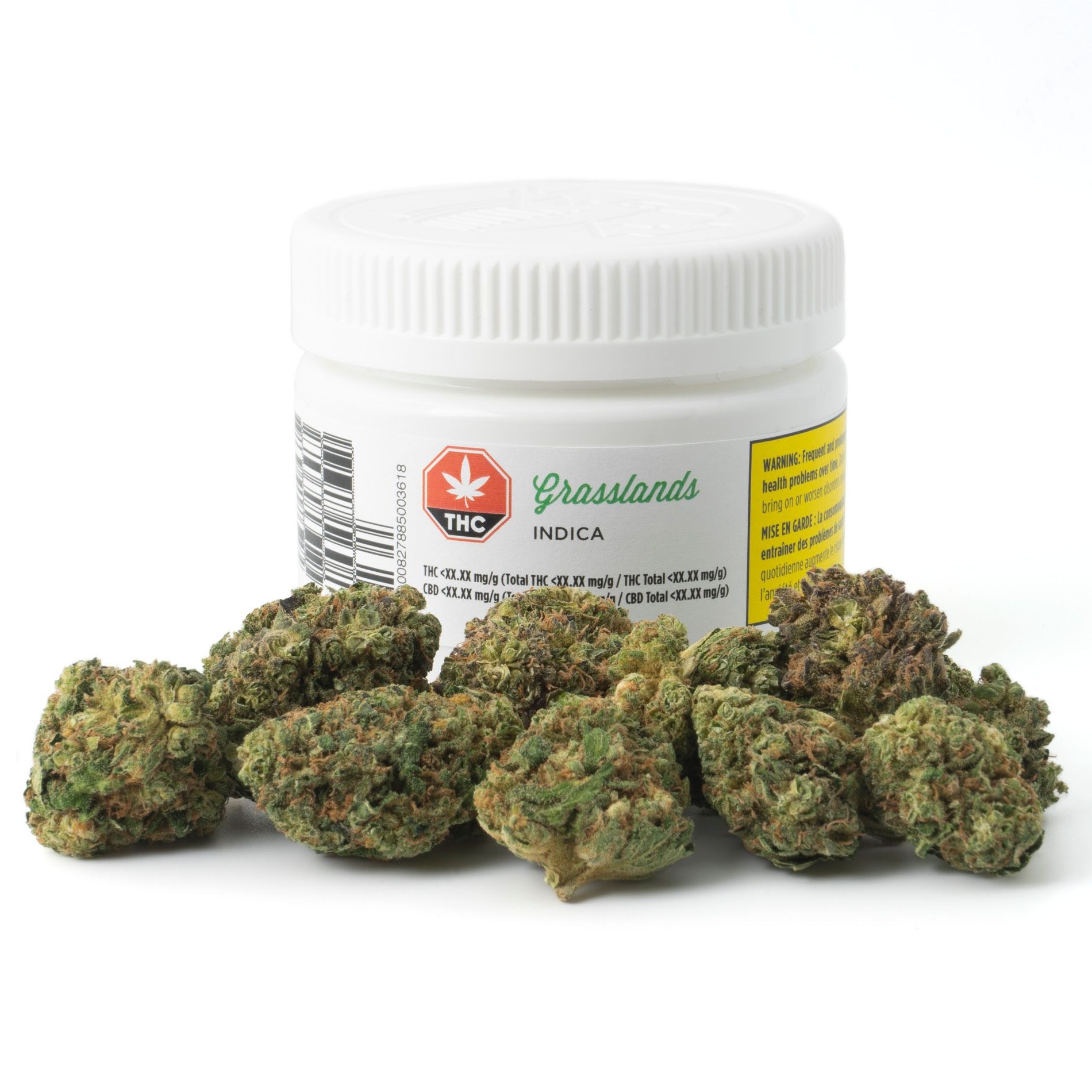 Indica