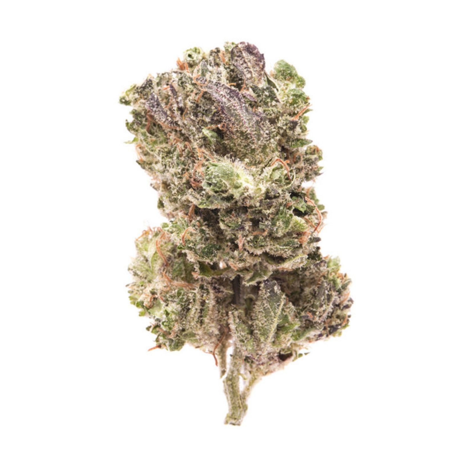 Elphaba S Bliss Leafly