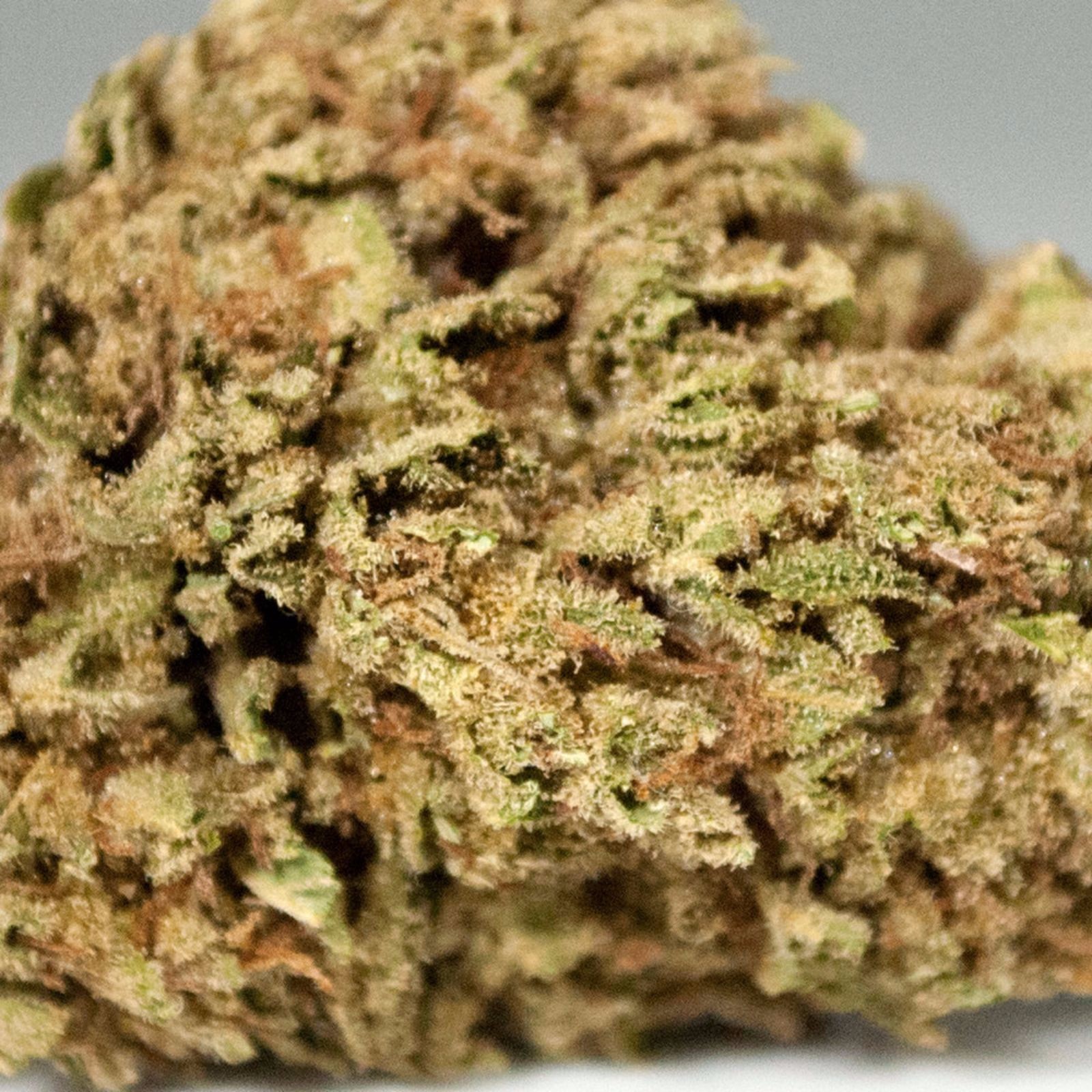 Critical Jack Leafly