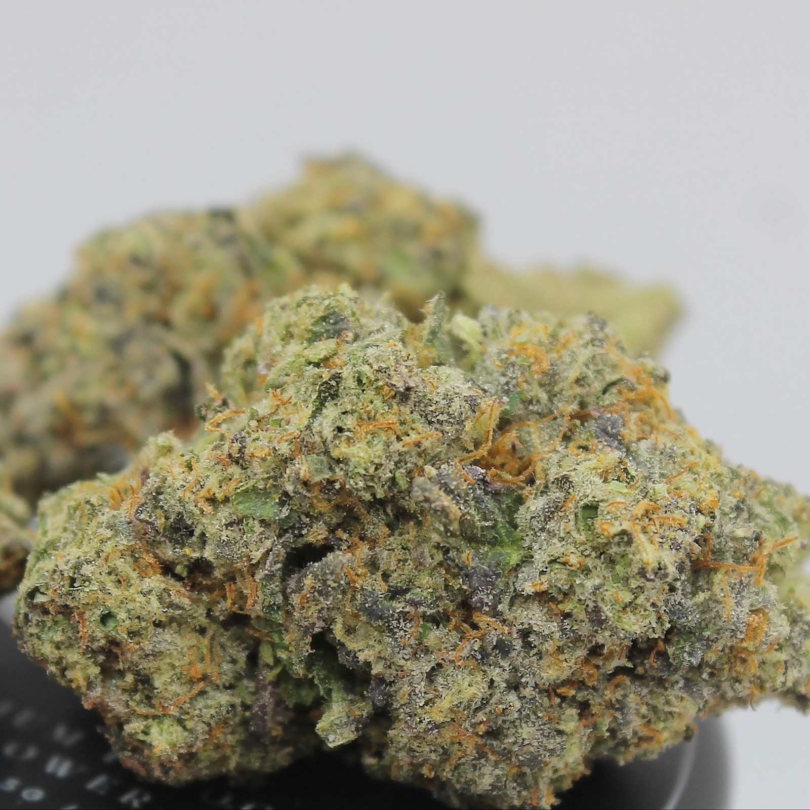 Stash Mountain Biscotti x Sherb x Jealousy Leafly