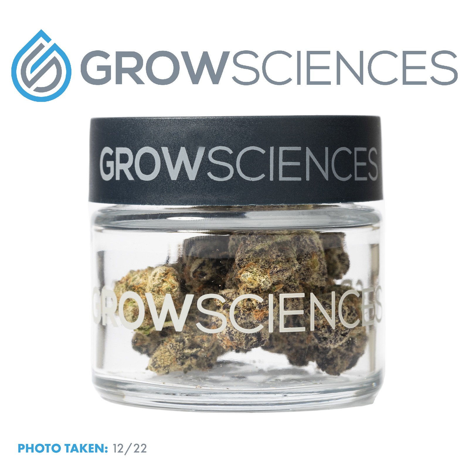 Grow Sciences Grape Cream Cake (3.7) Leafly
