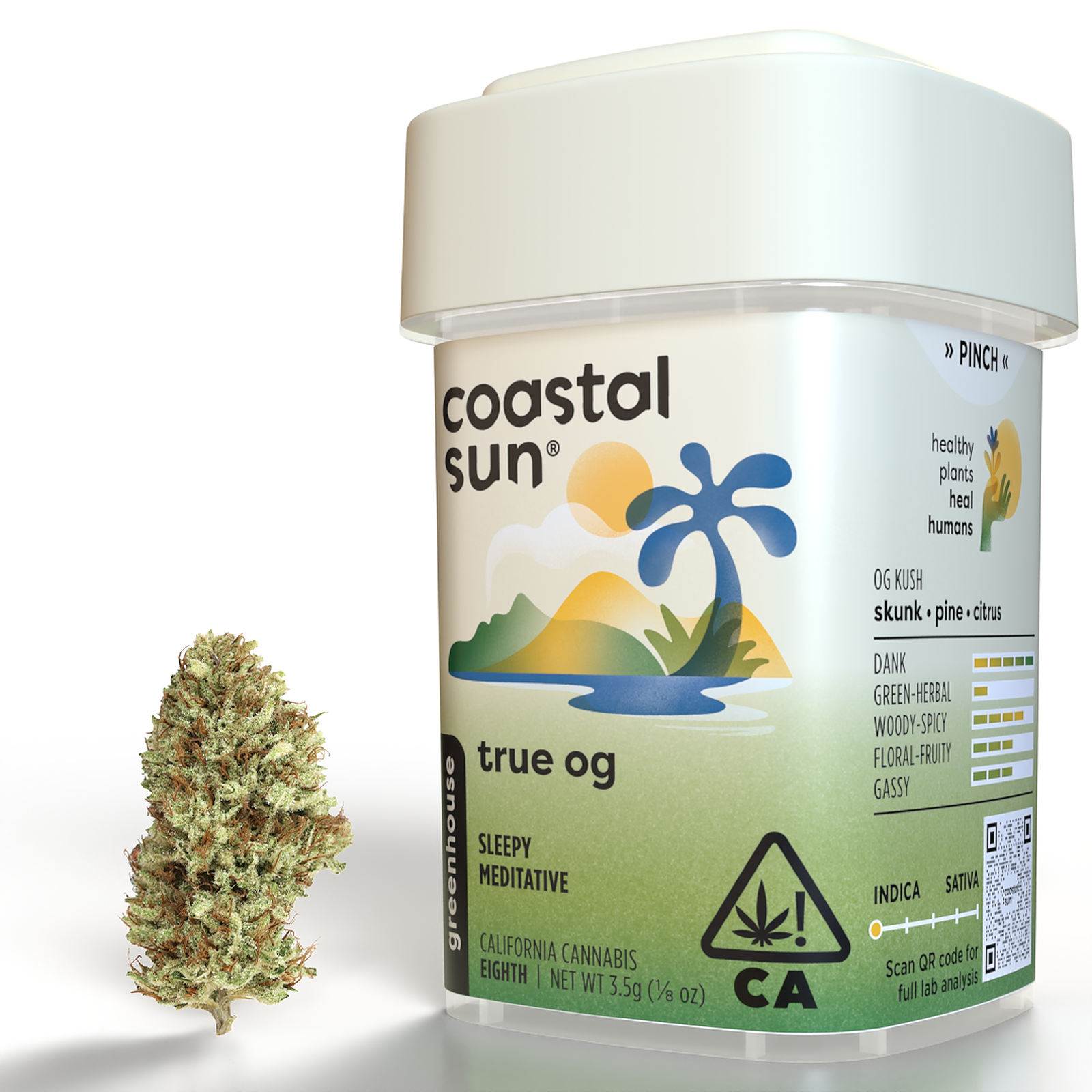 Coastal Sun Farm: True OG
