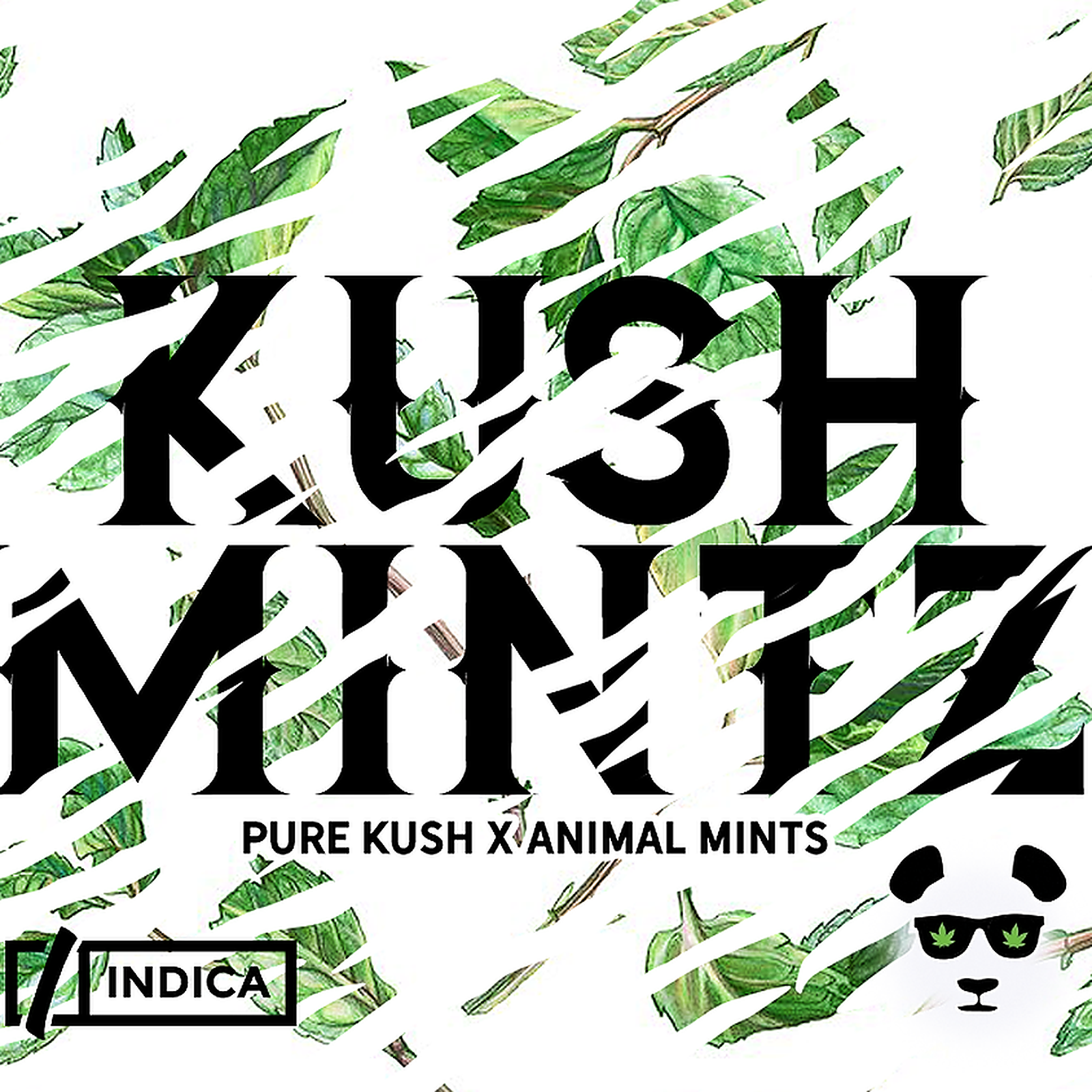 Kush Mintz