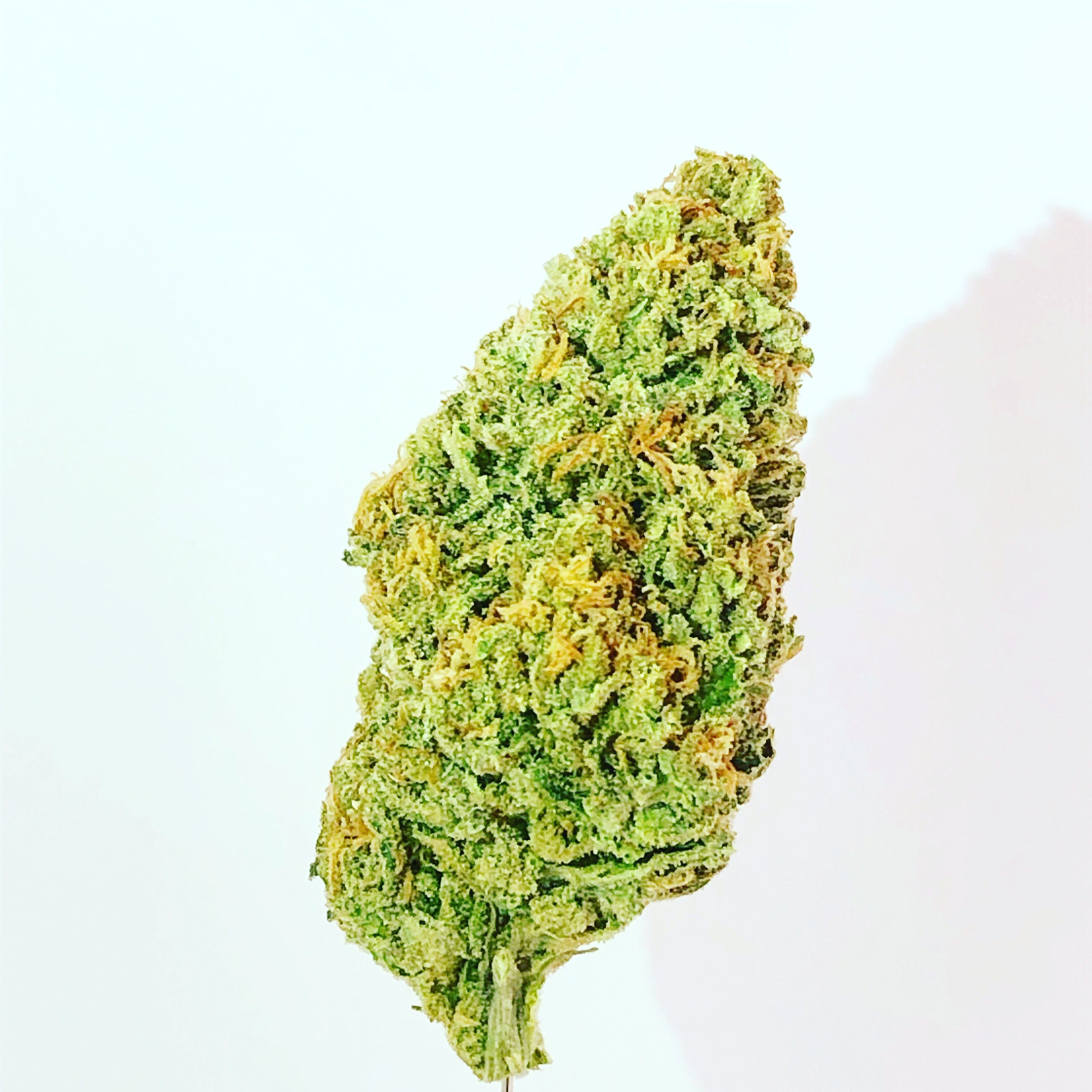 Leafly Strain - p1c3sj1