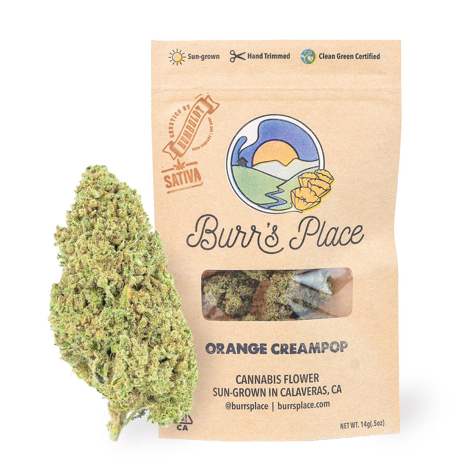 Burr's Place — Orange Creampop