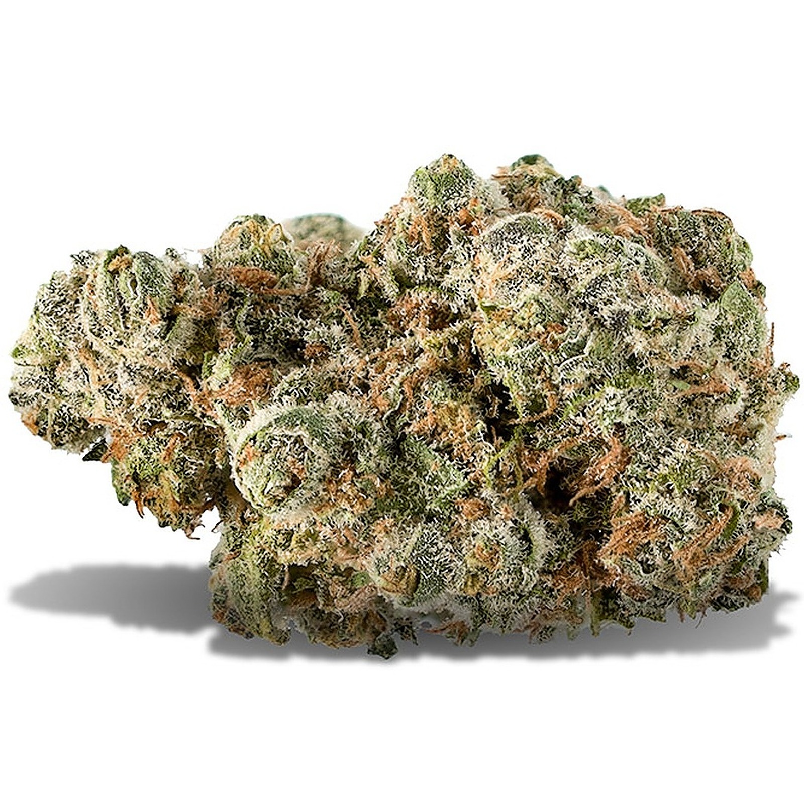 Kind Tree Cannabis Blueberry Headband Leafly