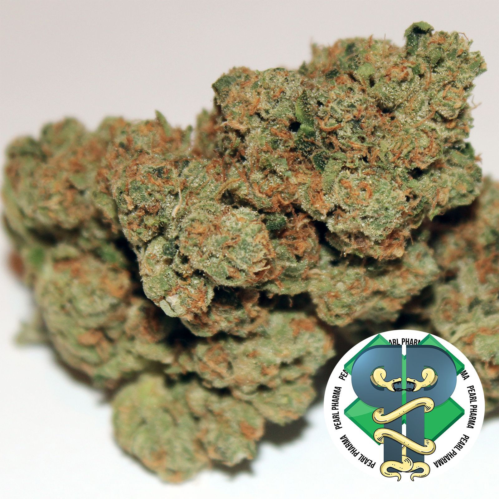 Pearl Pharma: Pearl OG