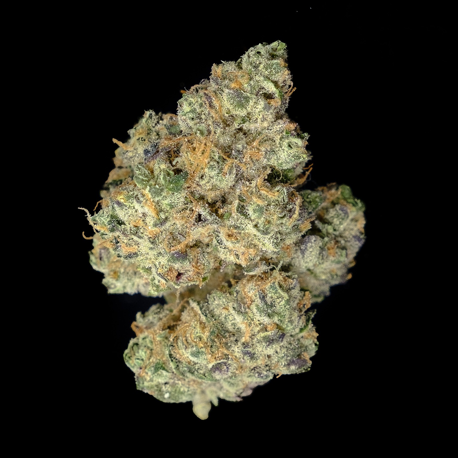  Animal Mint Cake Strain of the decade Learn more here 